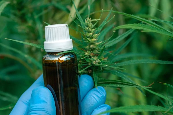 Découvrez la meilleure boutique de cbd près de chez vous